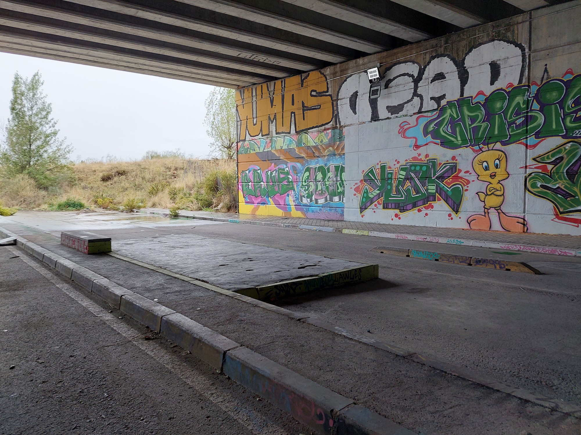 El Túnel DIY skatepark